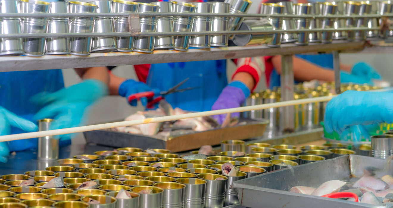 Canned fish factory. Food industry. Workers working in canned fo