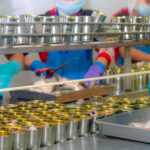 Canned fish factory. Food industry. Workers working in canned fo